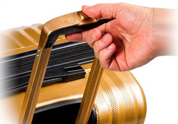 Valise Swiss Gear Or doré 711 bagage adulte unisexe