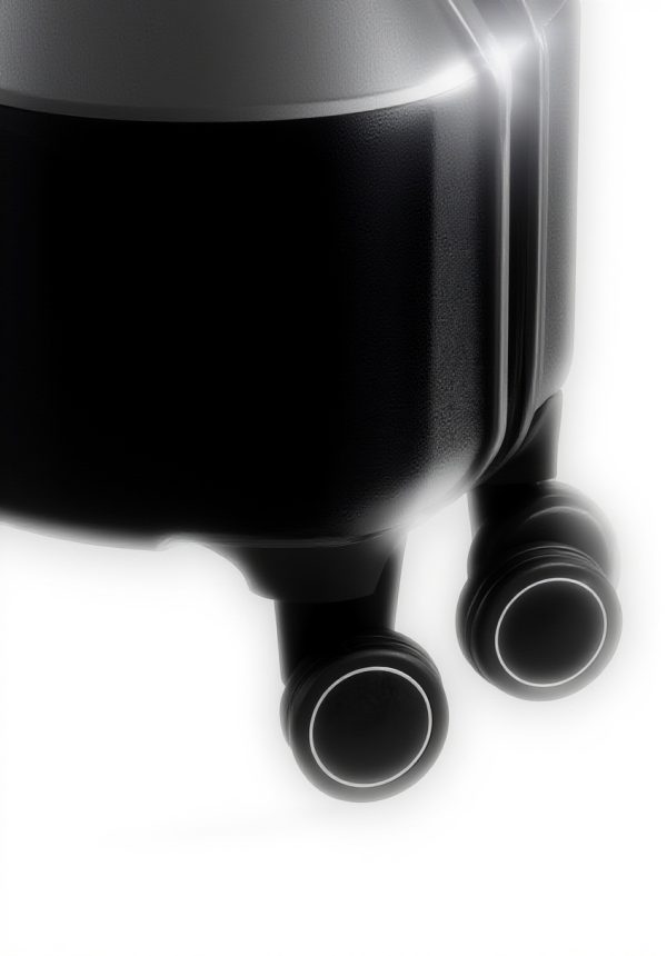 Valise cabine SwissGear roues pivotantes ABS durable