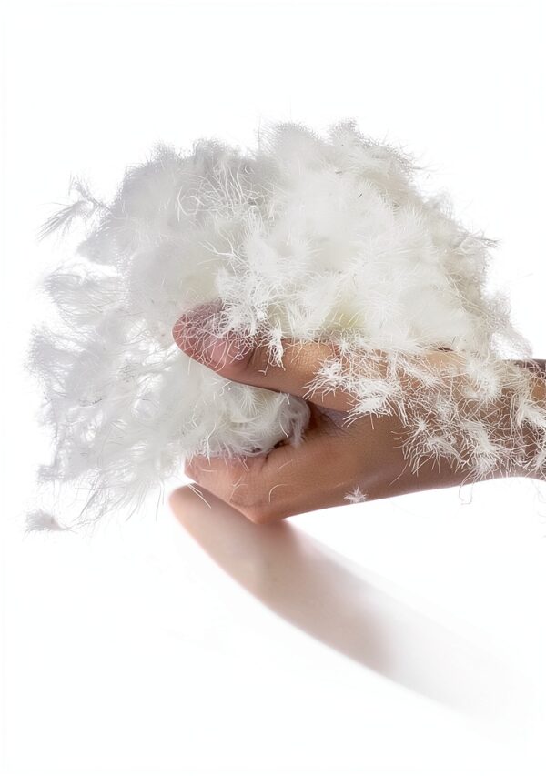 Doudoune Femme Pioneer Camp Imperméable 700 Fill Power-3